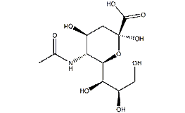 N-Acetylneuraminic acid Structure