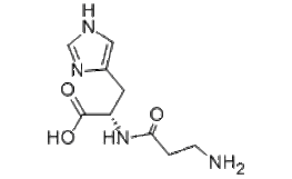 Carnosine peptide for supplement, eye drops, anti aging and usage 305-84-0